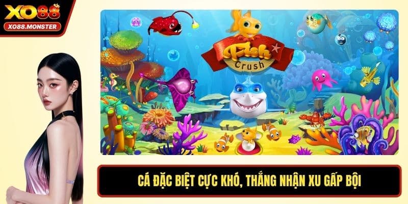 Cá đặc biệt cực khó, thắng nhận xu gấp bội