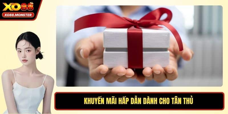 Khuyến mãi hấp dẫn dành cho tân thủ 